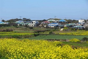Busan-Jeju-Seoul-Nami-Everland- Lễ Hội Hoàng Gia