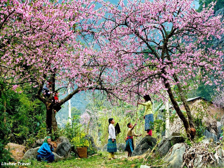 Du lịch Hà Giang - Đồng Văn - Lũng Cú Tết âm lịch 2017
