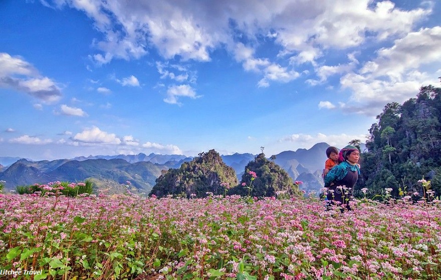 Du Lịch Hà Giang: Sài Gòn - Quảng Bạ - Lũng Cú - Mèo Vạc - Đền Hùng 5N4Đ