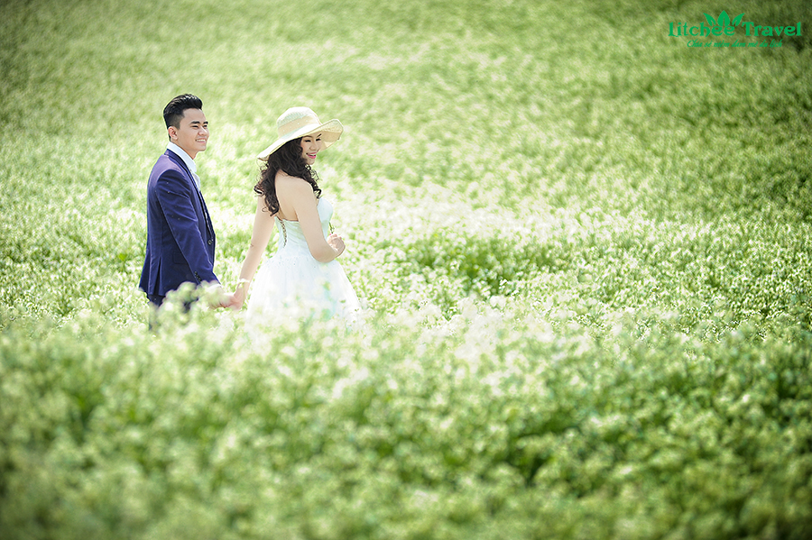 Du lịch Mộc Châu mùa cải trắng dịp lễ Valentine 2 ngày 1 đêm
