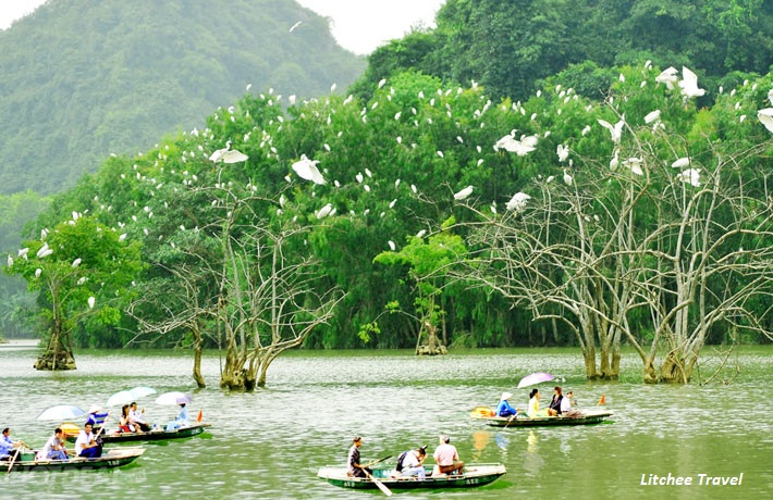 Du Lịch Vườn Chim Thung Nham Ninh Bình 2 ngày 1 đêm