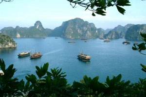 Du thuyền Paradise Hạ Long (2 ngày/1 đêm)