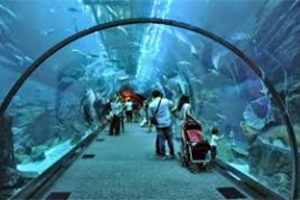 Dubai -Abu Dhabi (4Ngày/4Đêm) - KS 4*