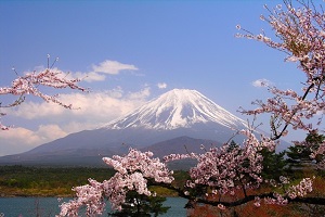 Nagoya-Osaka - Nara - Kyoto- Núi Phú Sỹ lễ hội Hoa chi anh- Tokyo
