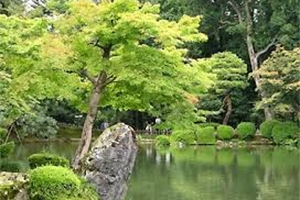 Tokyo-Núi Phú Sĩ-Nagoya-Kyoto-Osaka