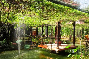 TOUR KHÁM PHÁ MIỆT VƯỜN NHÂN TÂM (1 Ngày)