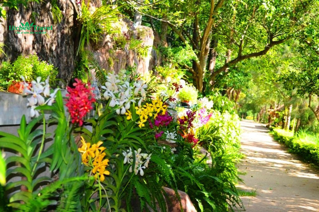 dao-hoa-lan-nha-trang-litchee-travel