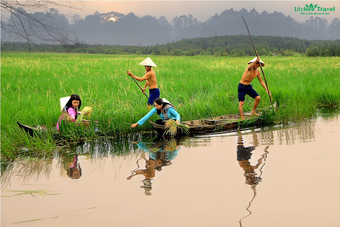 gat-lua-ma-litchee-travel-05