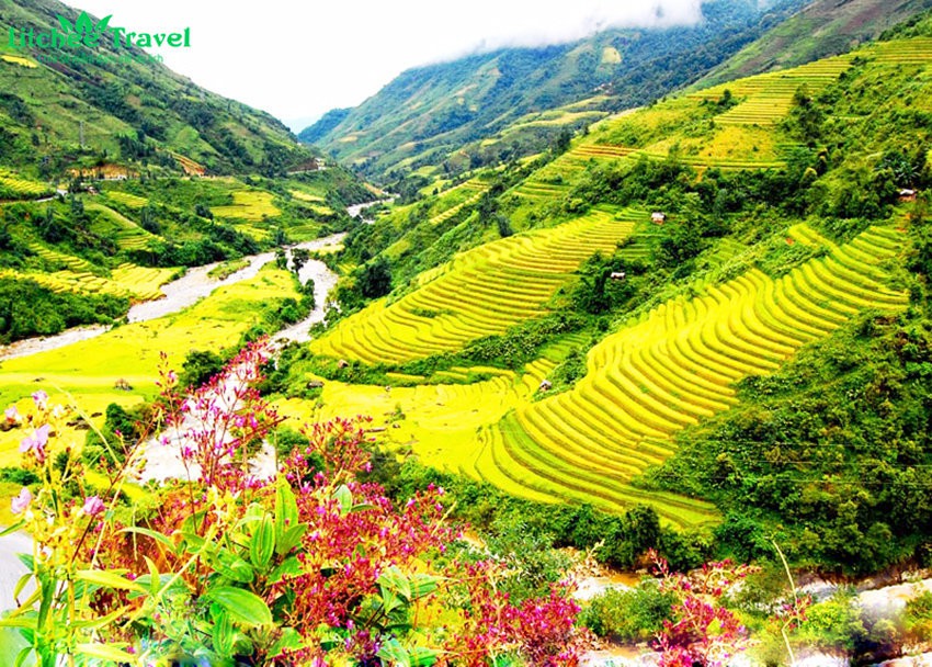 lao-chai-ta-van-litchee-travel.jpg