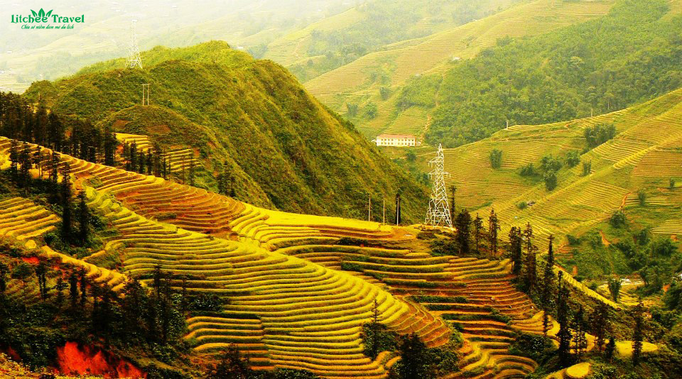 lua-chin-sapa-litchee-travel-9