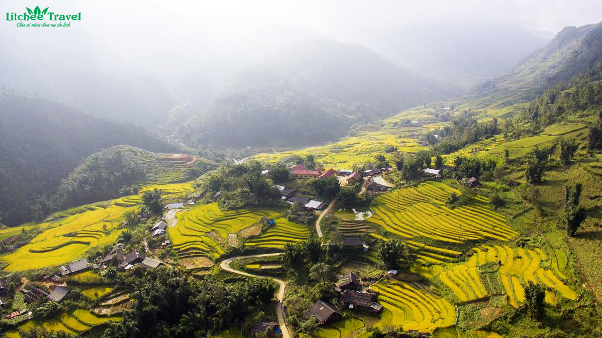 muong-hoa-mua-lua-chin-litchee-travel