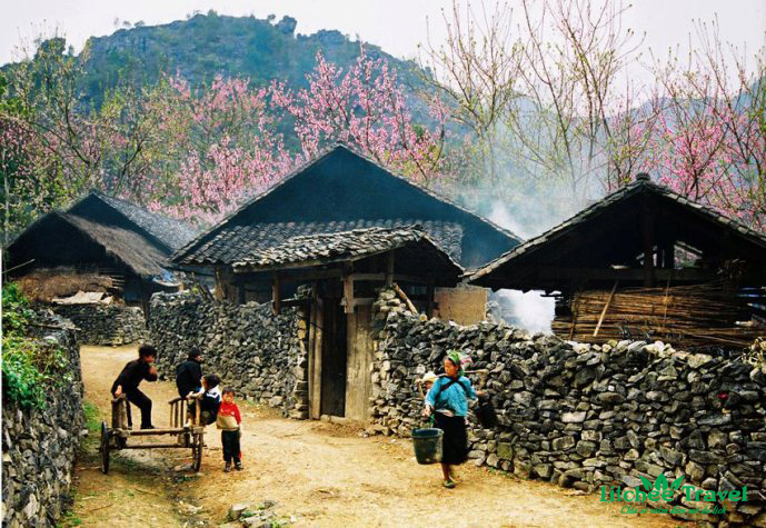 ngoi-nha-ha-giang-litchee-travel