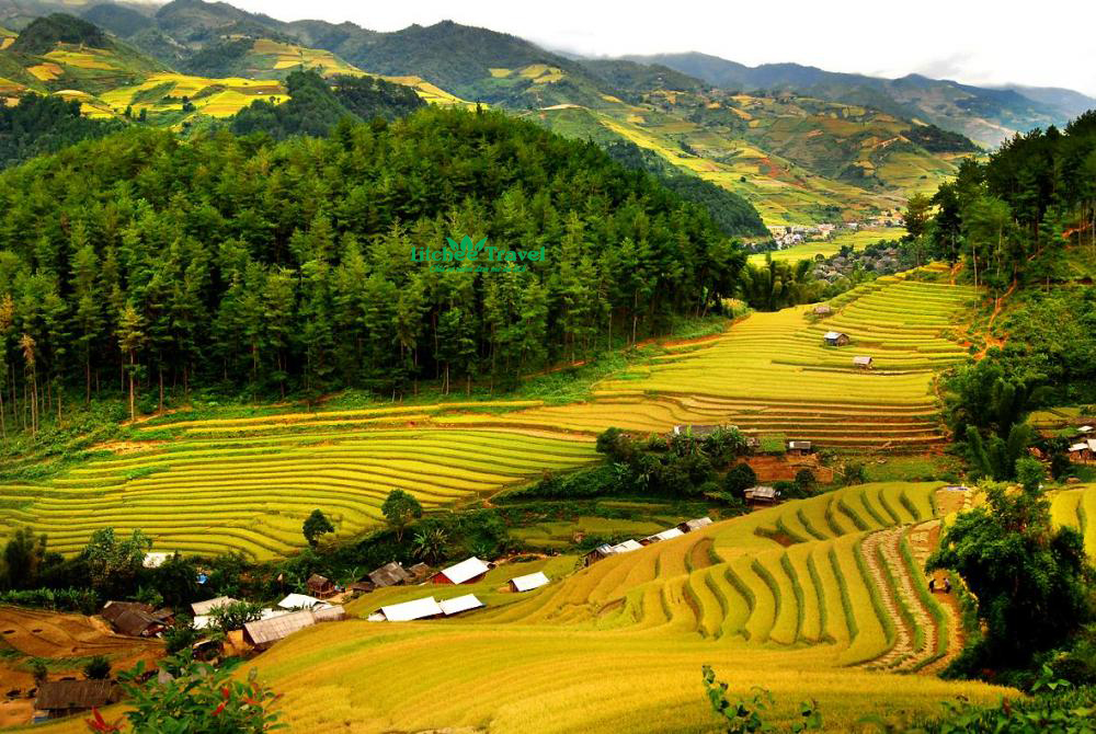 phu-luong-litchee-travel-0105