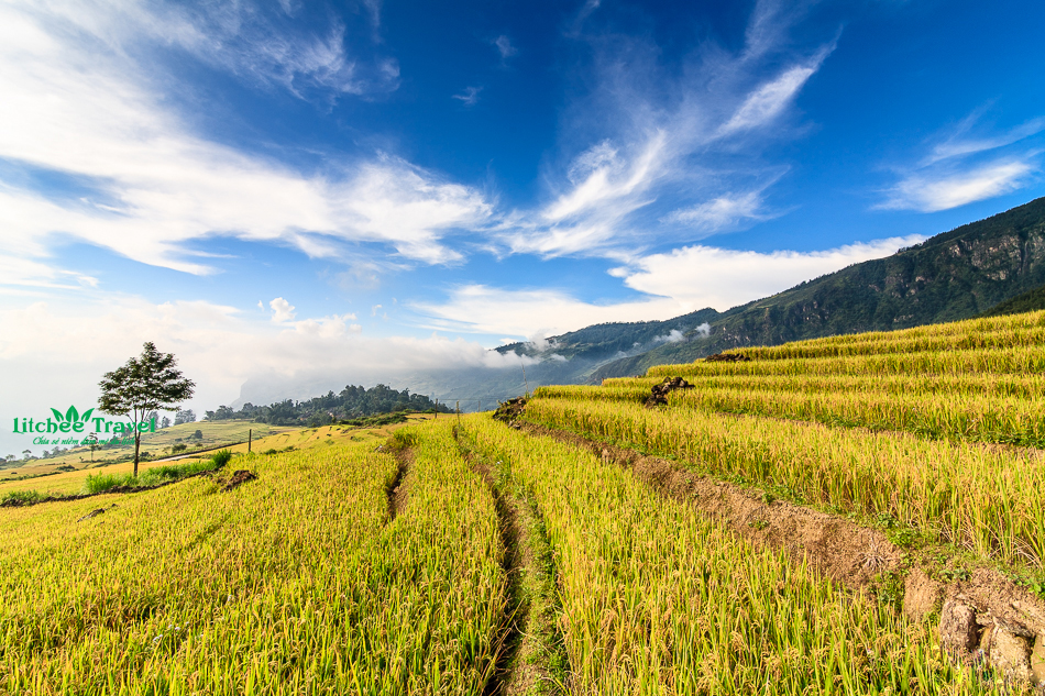 sapa-mua-lua-chin-litchee-travel-03