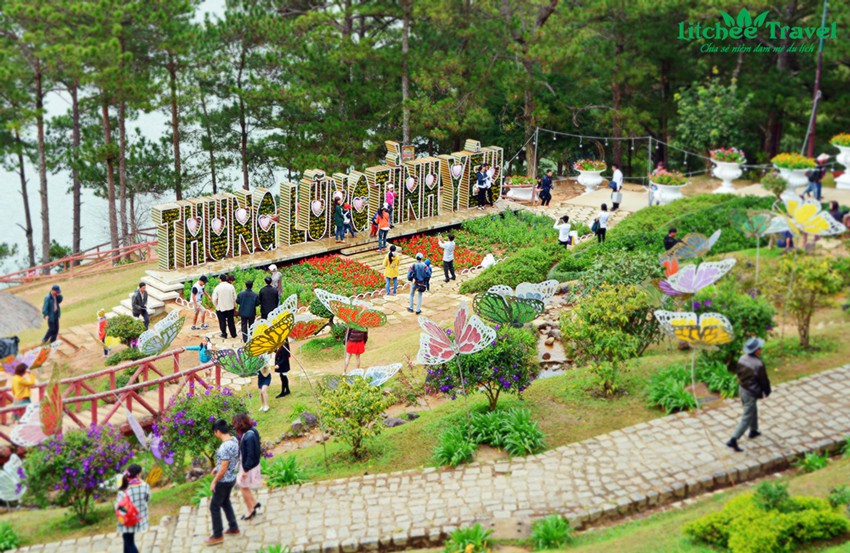 thung-lung-tinh-yeu-da-lat-litchee-travel-2017