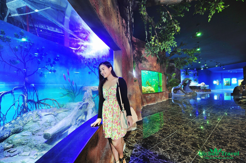 thuy-cung-vinpearl-litchee-travel-05